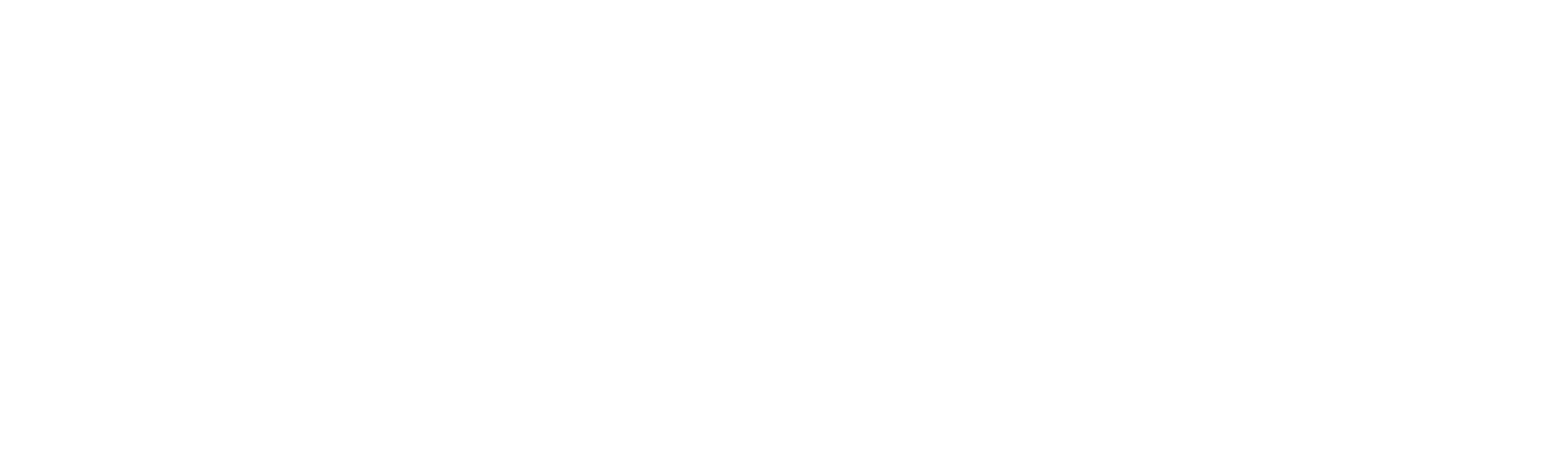eco° EV